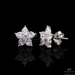 Small And Petite Nakshatra Studs On Pure 925 Silver