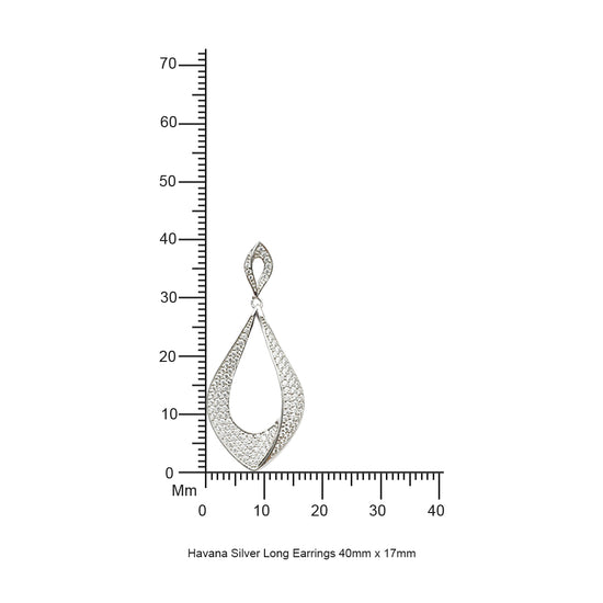 Havana Silver Long Earrings